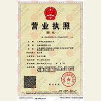 山东华实药业有限公司营业执照