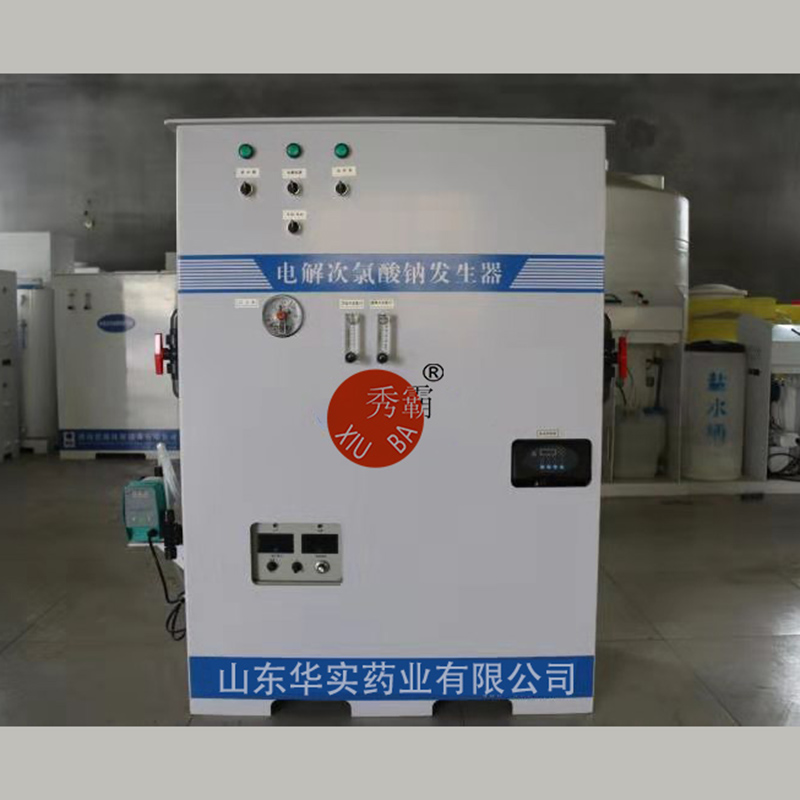 高纯复合式小型次氯酸钠发生器(普通手动控制型)产品图2