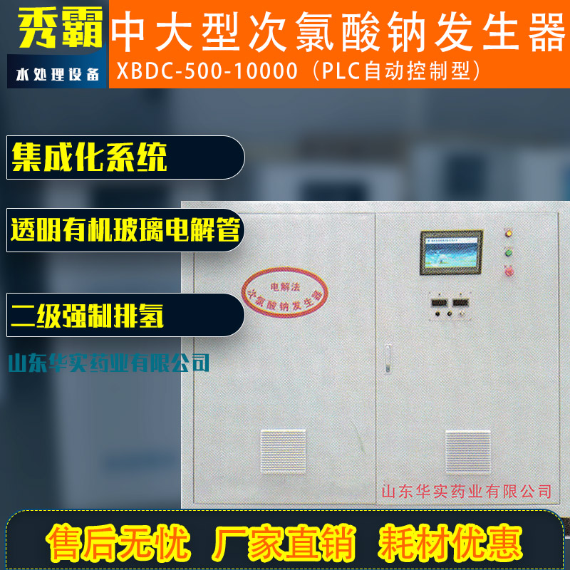 中大型次氯酸钠发生器