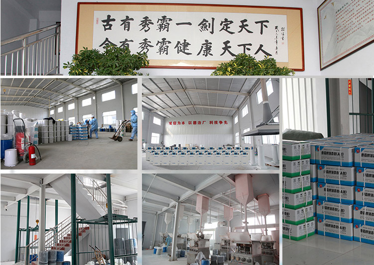 山东华实药业公司厂房图