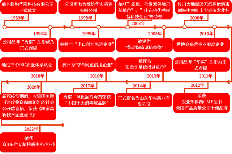 山东华实药业公司发展历程