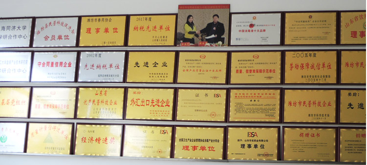 山东华实药业公司资质证书