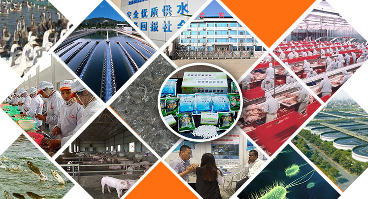 山东华实药业公司秀霸二氧化氯消毒剂的应用领域